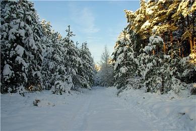 《冰汽时代2》|《执政官101》第六集 人性视角